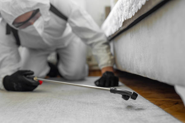Professional Ant Control technician working in Lakeview, WA