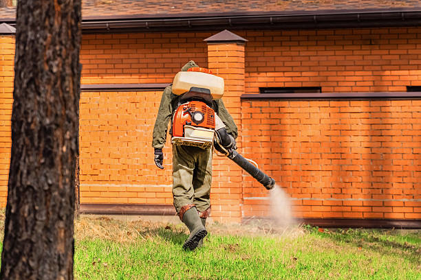 Trusted Rodent Control service in Lakeview, WA - Nex Pest Control